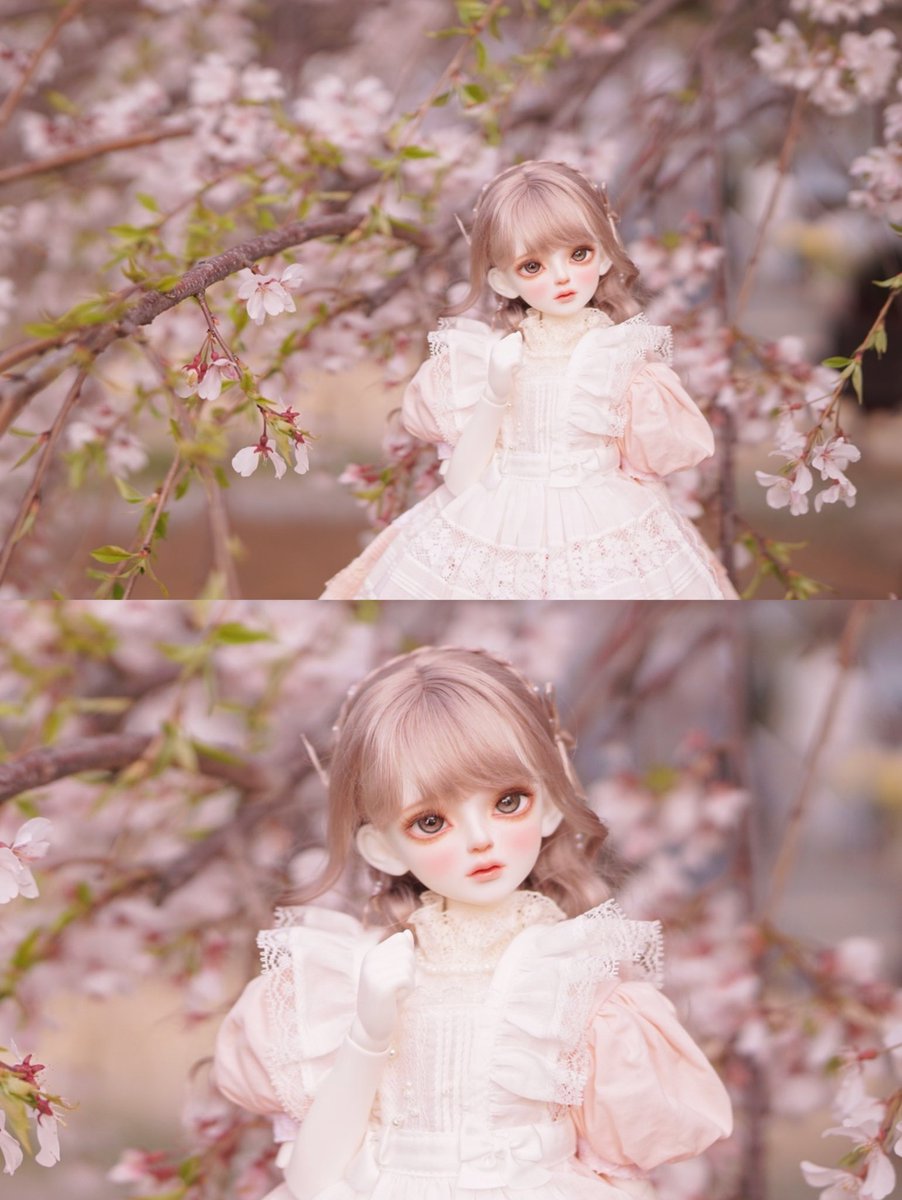 타르트 tweet media