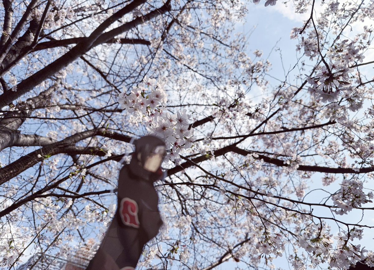 なぎ (遅筆) tweet media