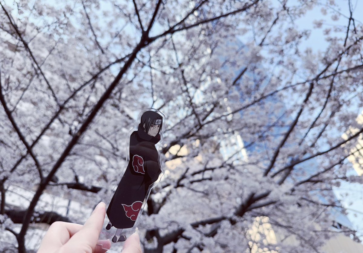 なぎ (遅筆) tweet media