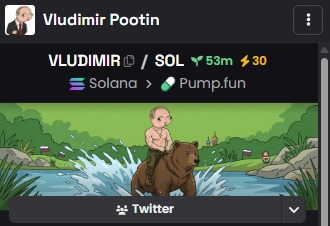 Vludimir Pootin tweet media