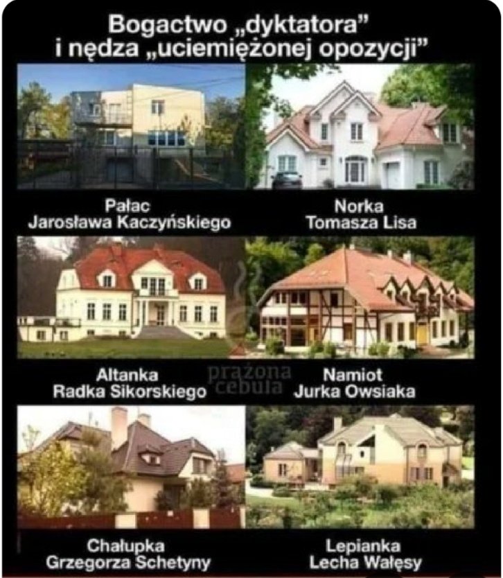 Amabeline tweet media