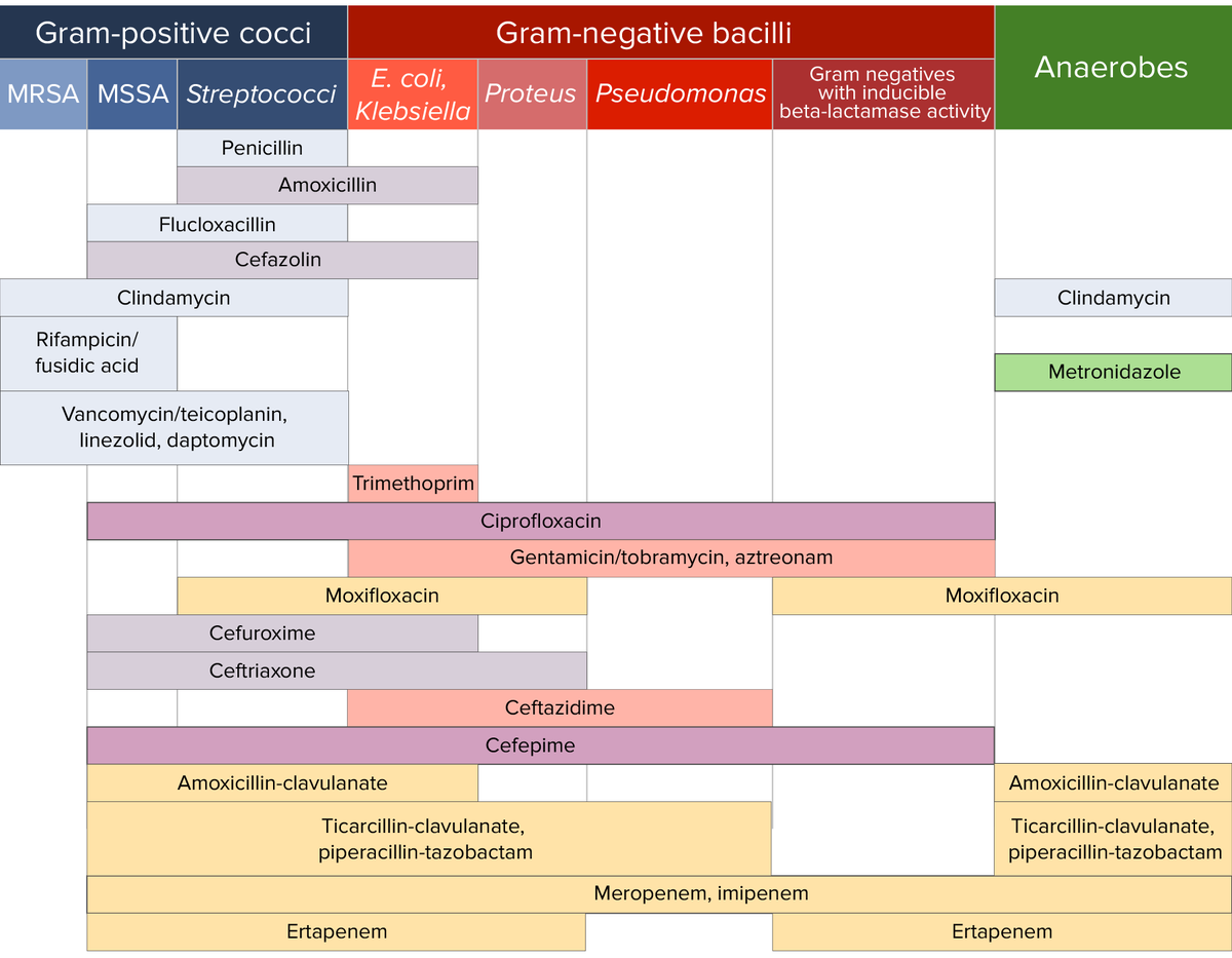 drsthanus's tweet photo. An antibiotic sensitivity chart.

https://t.co/EZvZfx4gK7 https://t.co/IG5yQdlF2S
