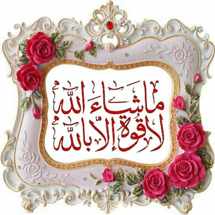 Noureddine Djaldi tweet media