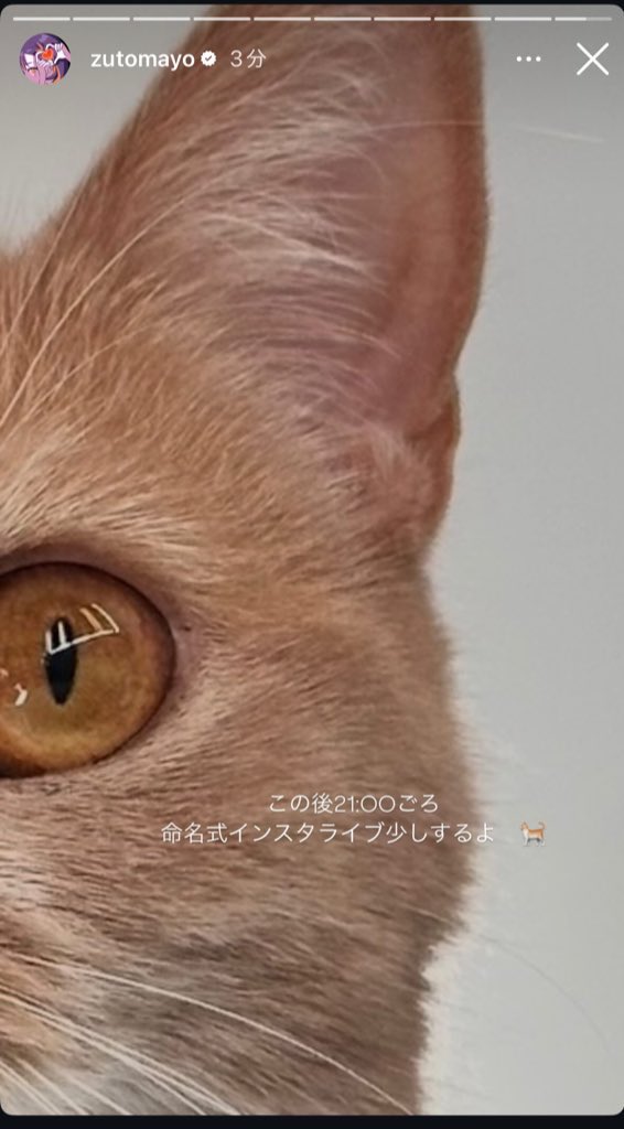 しいか tweet media