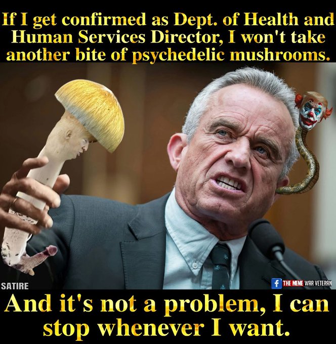 euroamerican tweet media