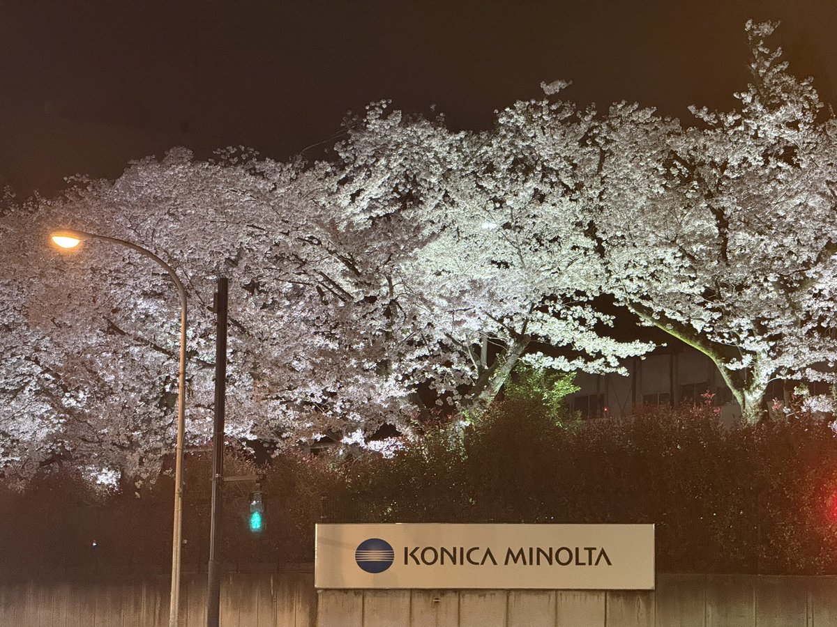 LEGAぽん tweet media