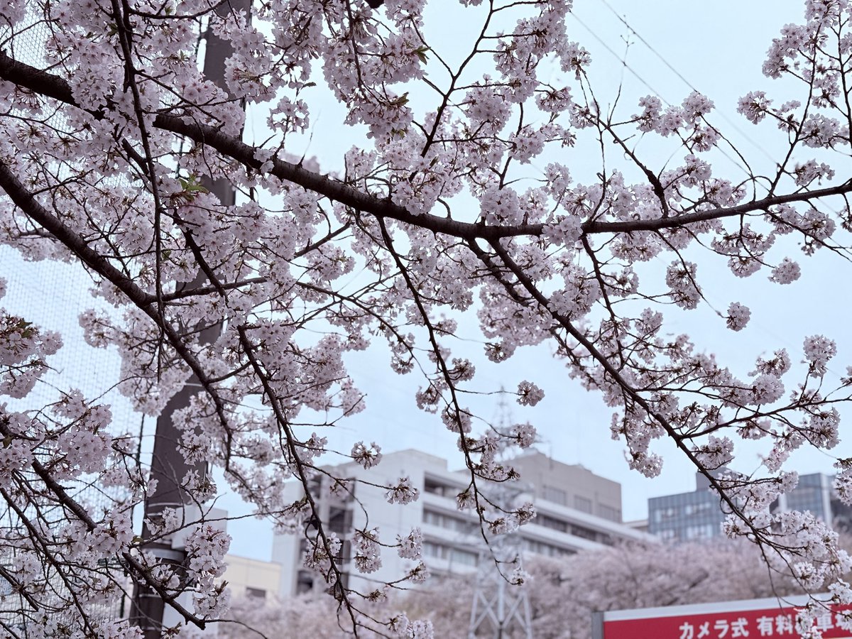 LEGAぽん tweet media