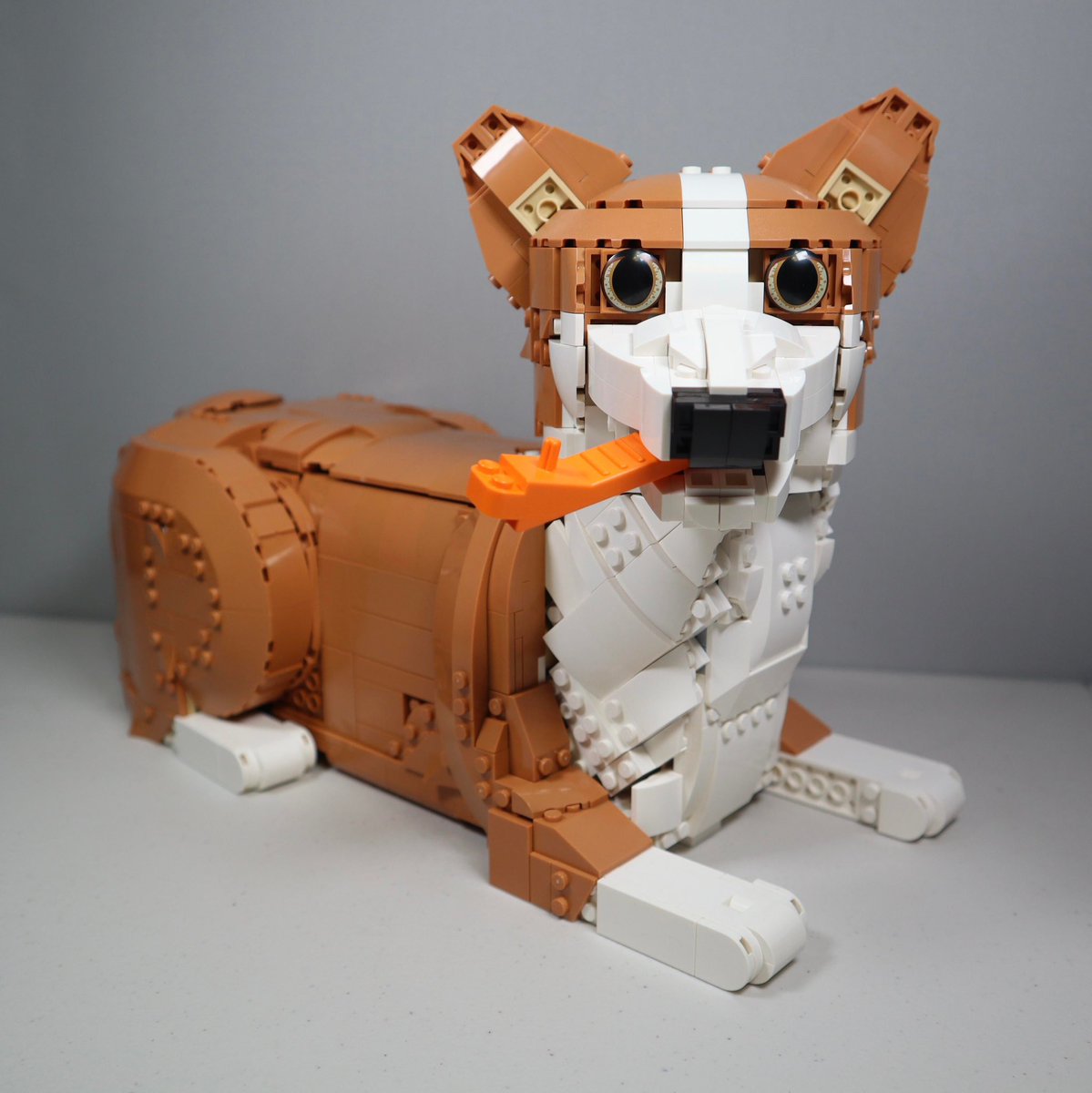 LEGOBrickBros's tweet photo. Corgi Alternate Build from Orange Cat!

MOC by @aranobilis98 on IG.

#LEGO https://t.co/fM4WR4GsIw