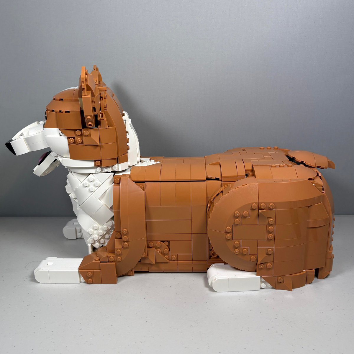 LEGOBrickBros's tweet photo. Corgi Alternate Build from Orange Cat!

MOC by @aranobilis98 on IG.

#LEGO https://t.co/fM4WR4GsIw