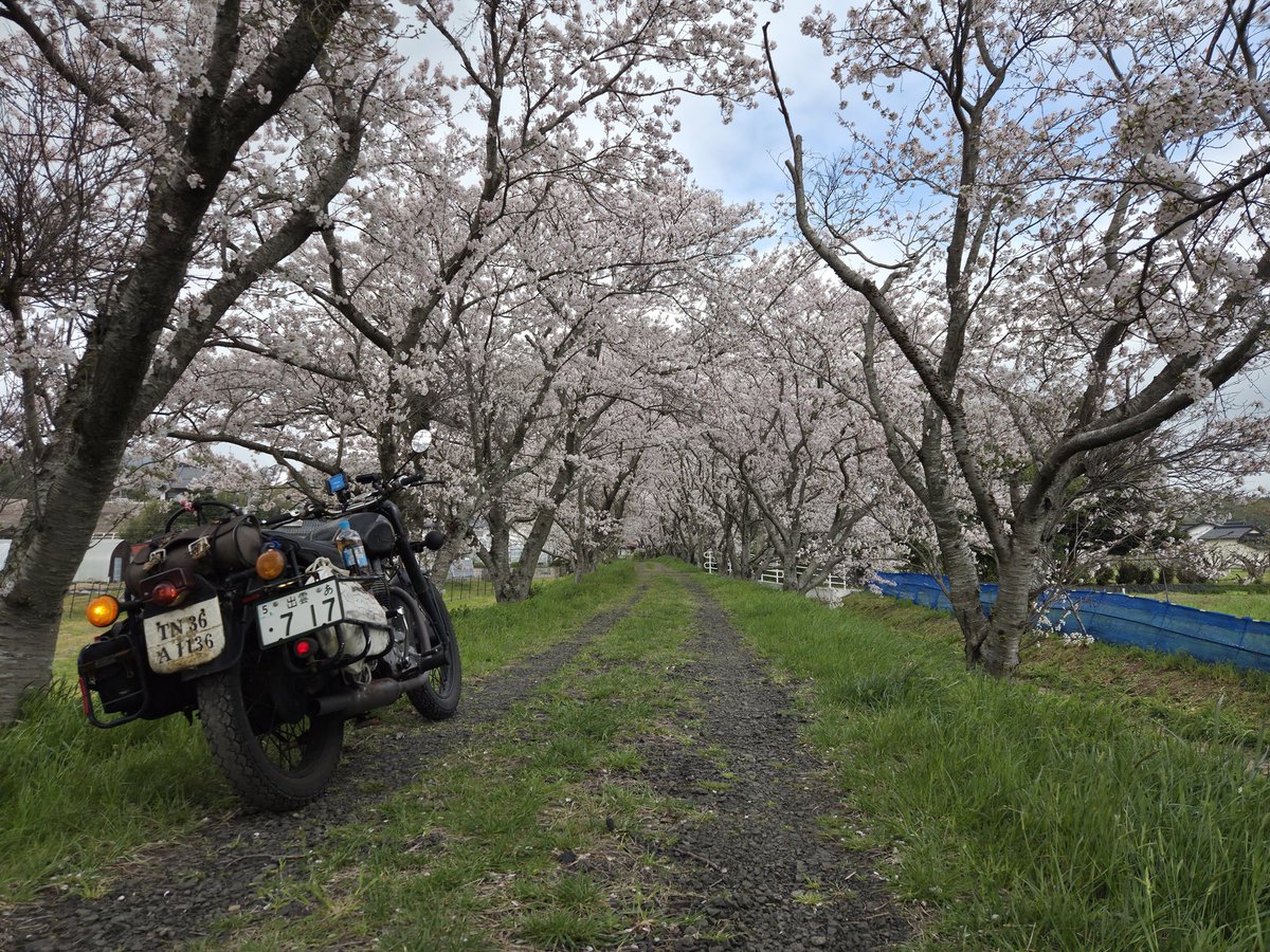 ﾌｫﾚｽﾄ tweet media