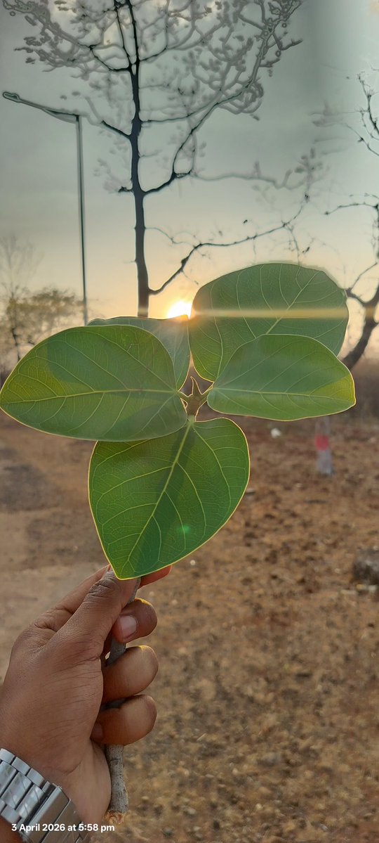 Umesh Shah tweet media