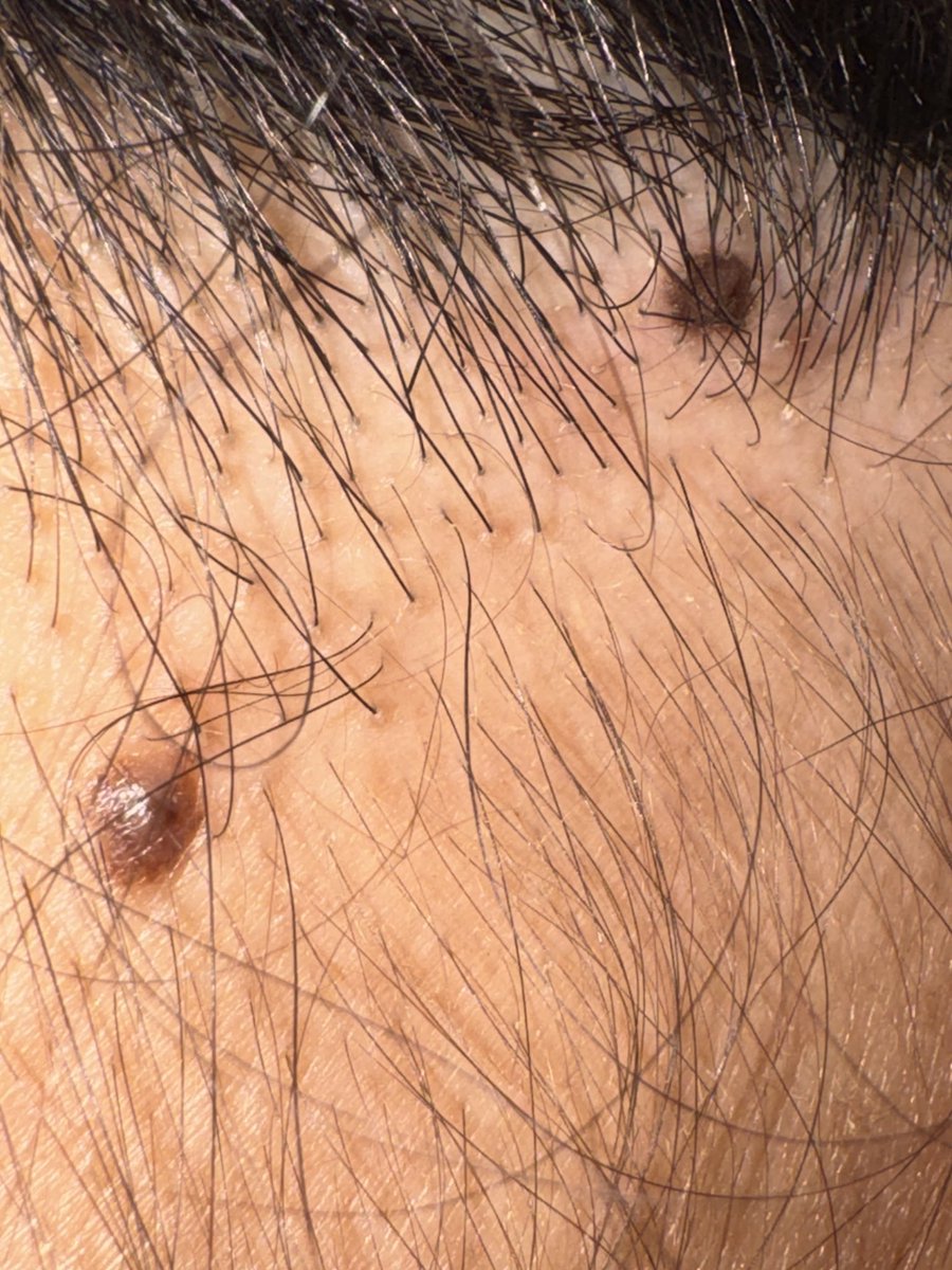 mila loves tweet media