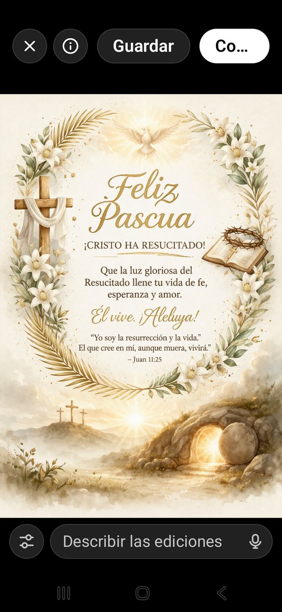 Tana Pujals tweet media