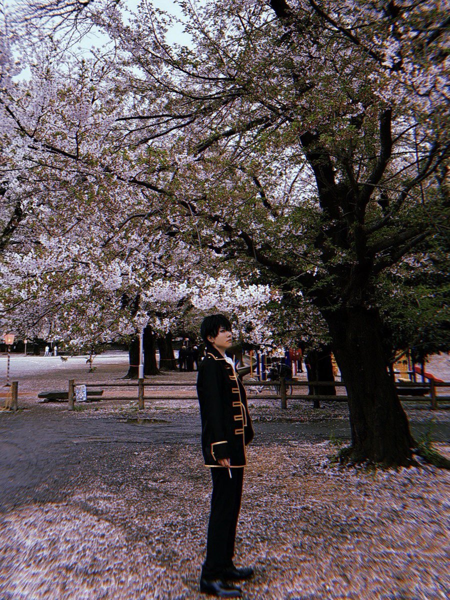 かしわ@12てでし tweet media