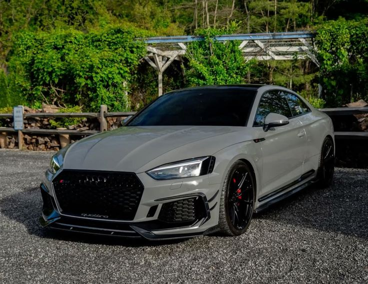 Filiz Kayali tweet media