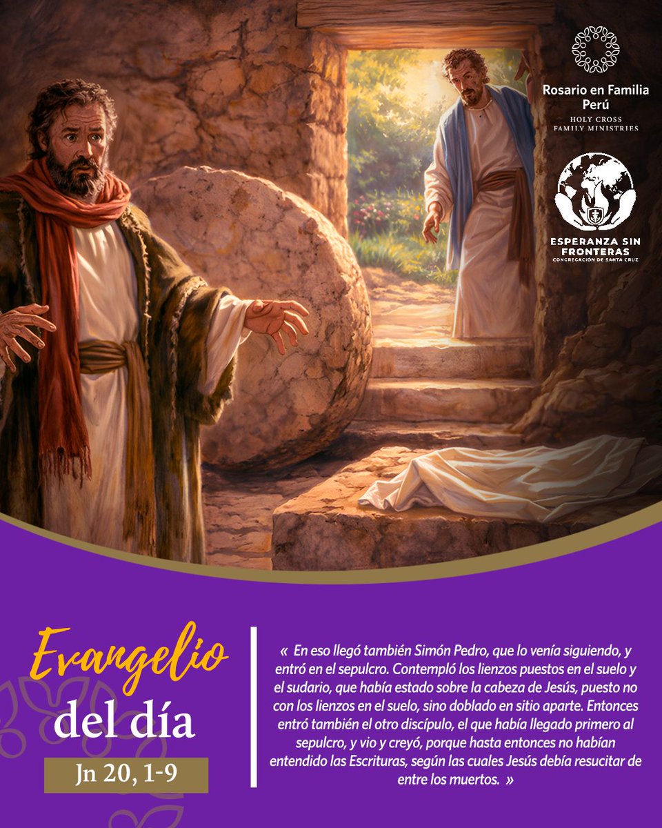 Rosario en Familia tweet media