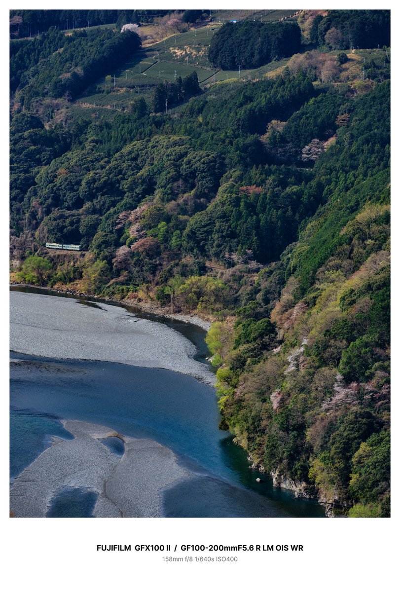 ハヤシライス tweet media