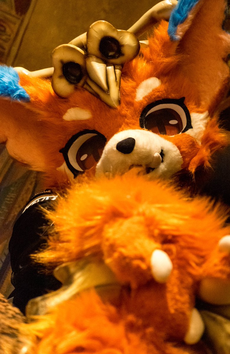 커피새 tweet media