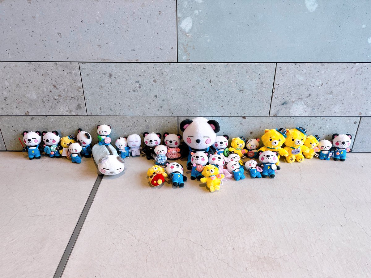 きらし⬜️ tweet media