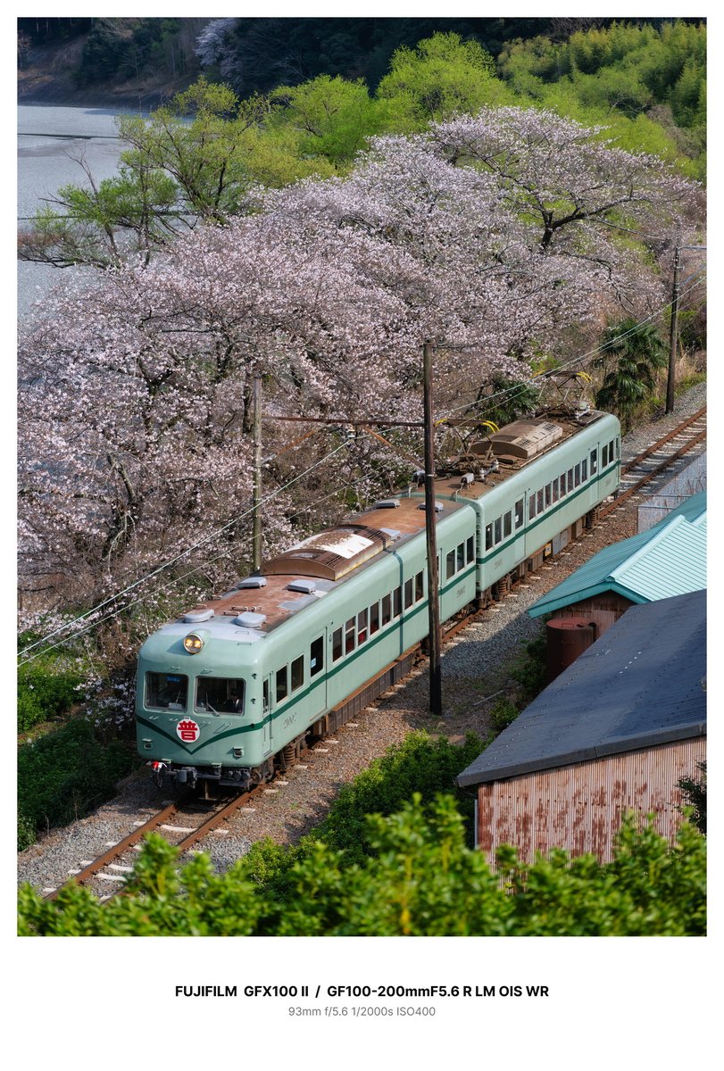 ハヤシライス tweet media