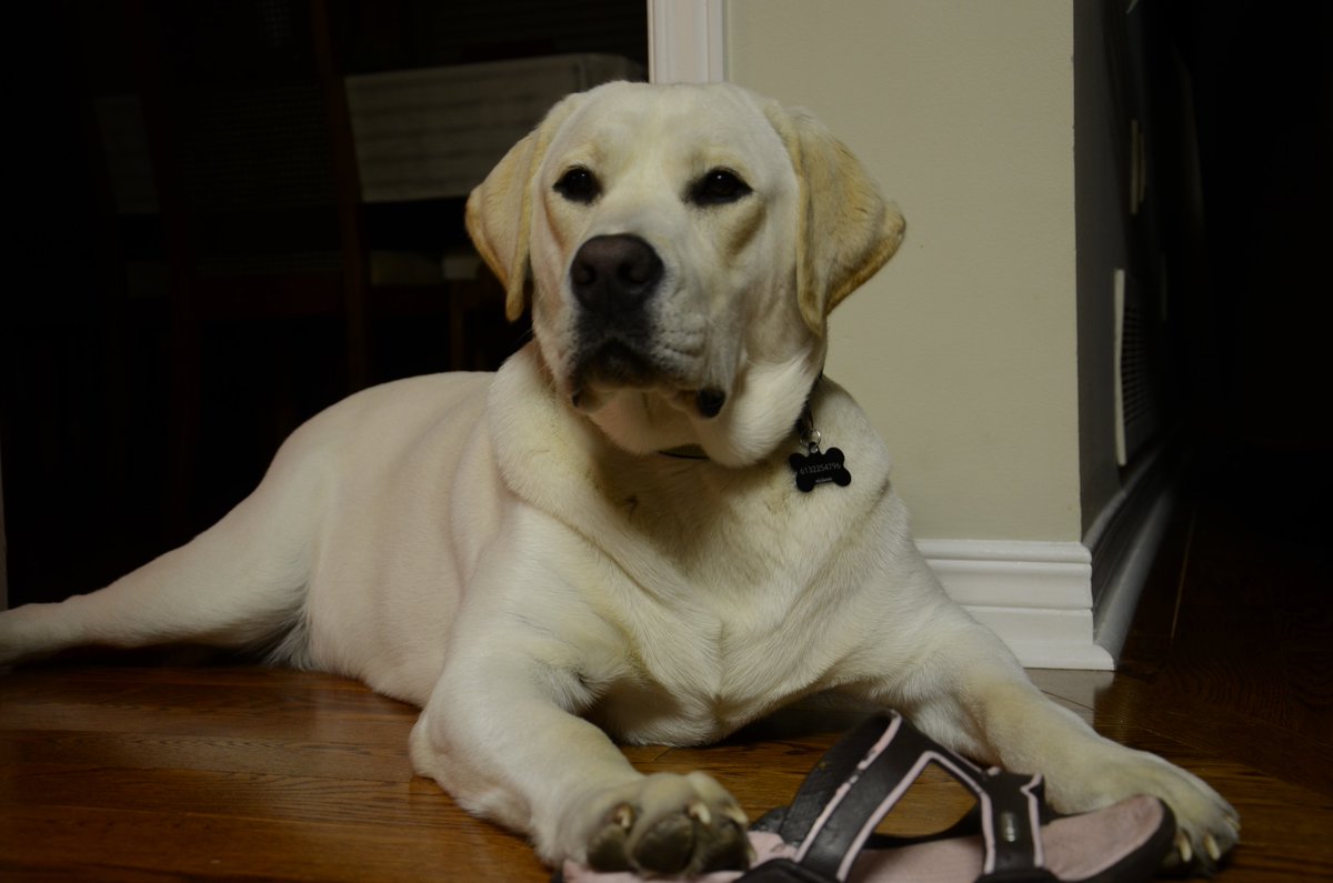 Missing you this Easter Charlie 💔