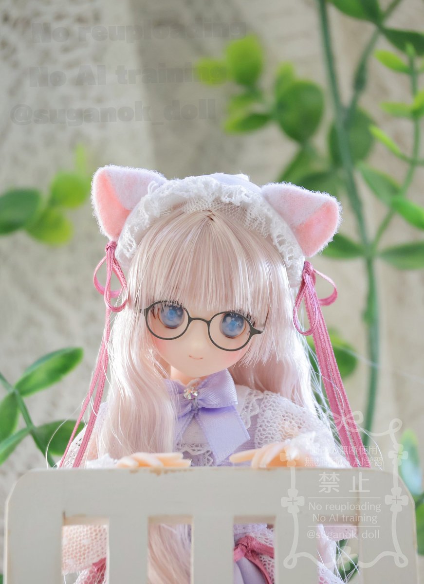 実は年始に朝比奈 幸穂さんをお迎えしてました
かわいい〜🐈️
#からふるDreamin