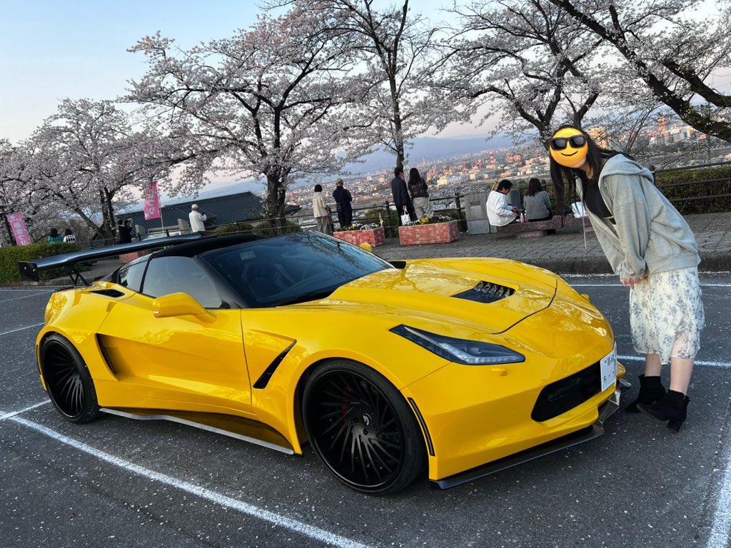 ドール先生 tweet media