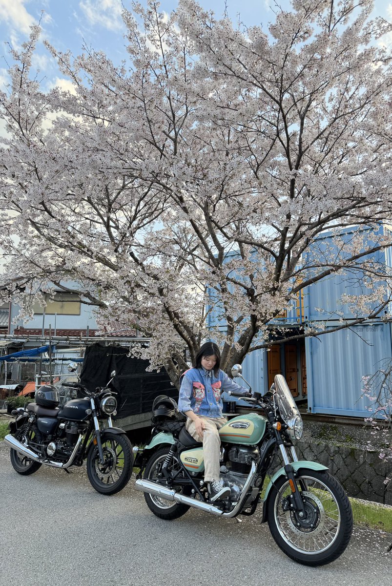 damoe_moto's tweet photo. 🌸🌸🌸
#RoyalEnfield
#ロイヤルエンフィールド
#メテオ350
#meteor350 
#花見ツーリング https://t.co/ACNIBIfQrY