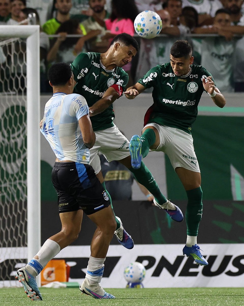 SE Palmeiras tweet media