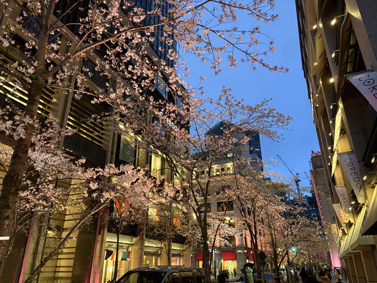 べる🐰🍋 tweet media