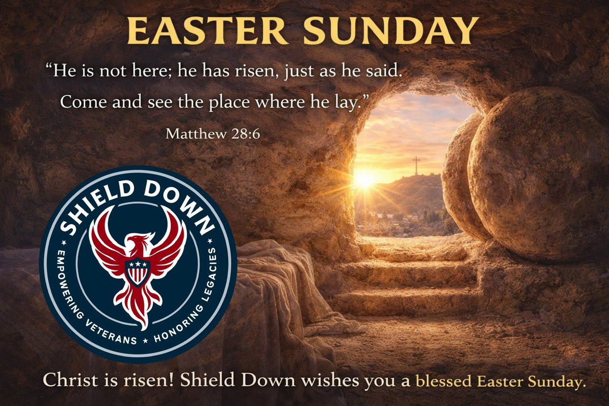 Shield Down tweet media