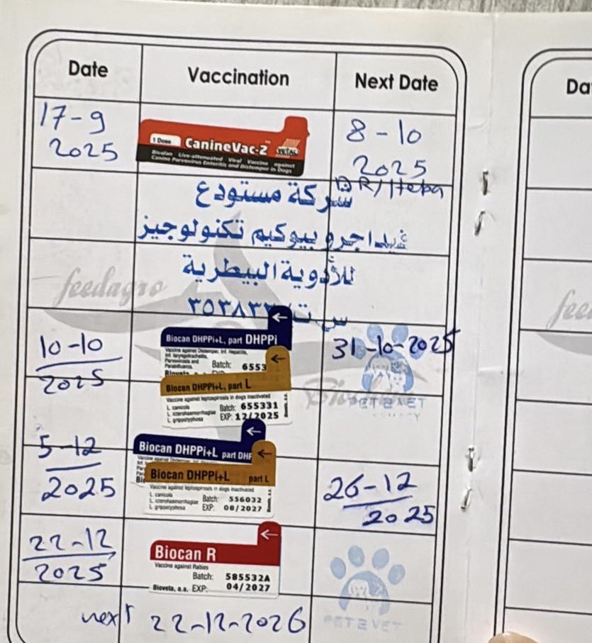 🌼🇰🇼 هلا الحميضي | Hala Al Humaidhi tweet media