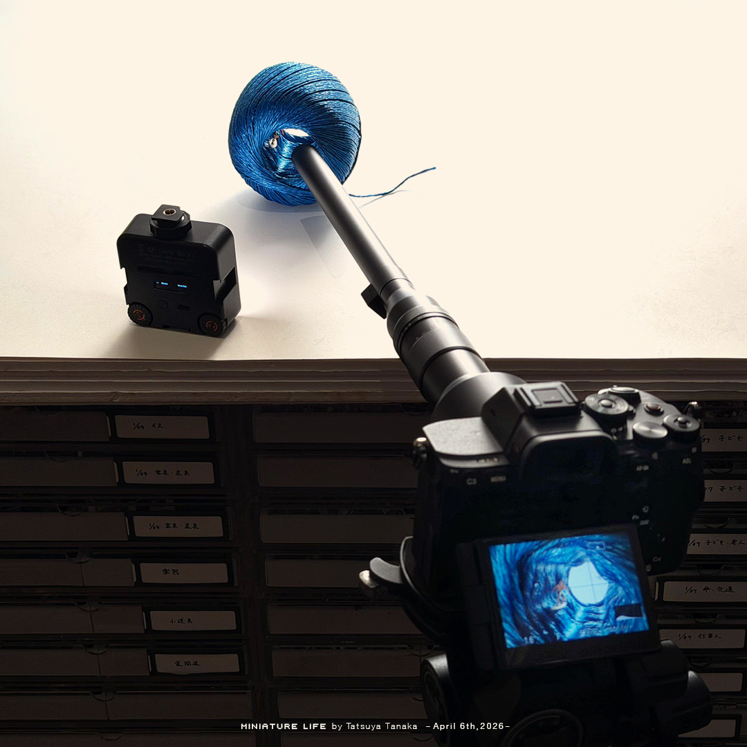 Tatsuya Tanaka 田中達也 tweet media