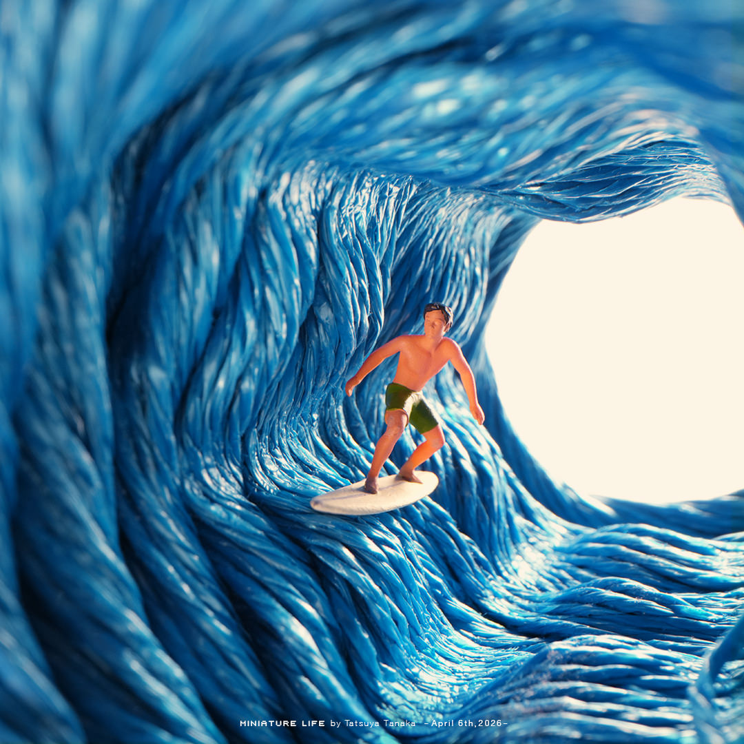 Tatsuya Tanaka 田中達也 tweet media