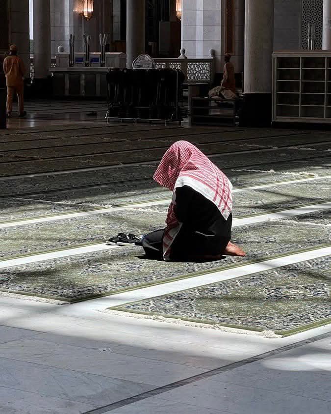 بَليـغٌ tweet media