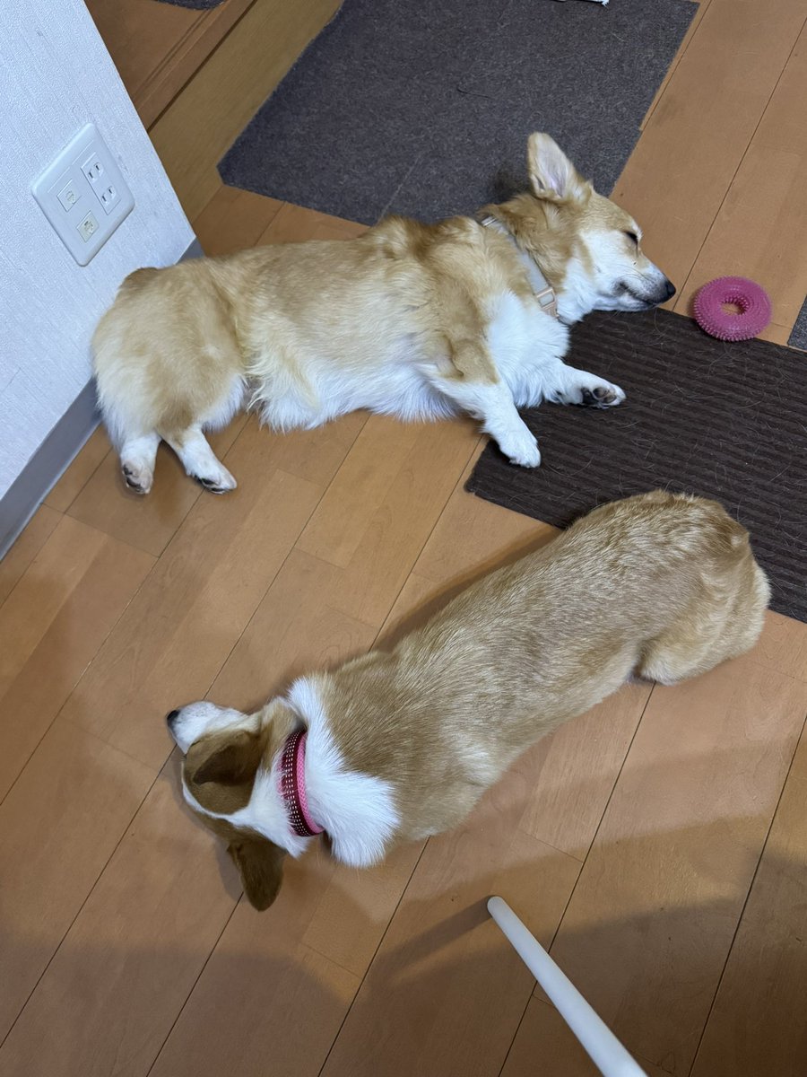 DJ BAR EDGEEND tweet media