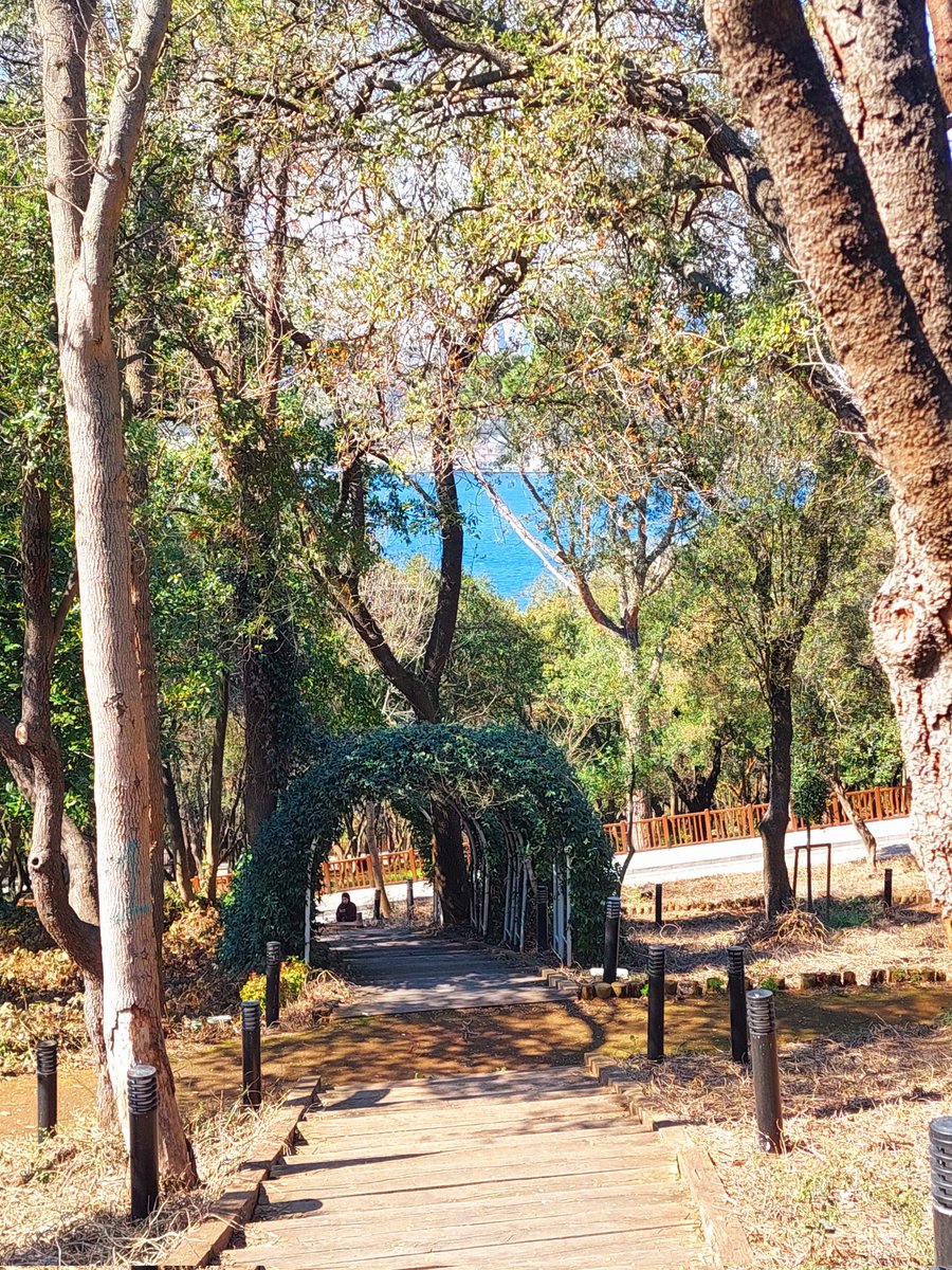 Kamil Öz tweet media