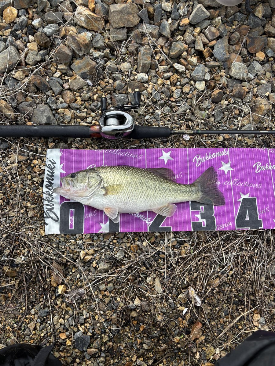 しょうた tweet media