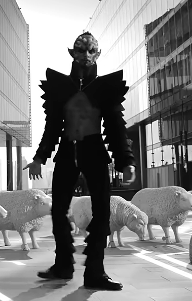 Just Curious tweet media