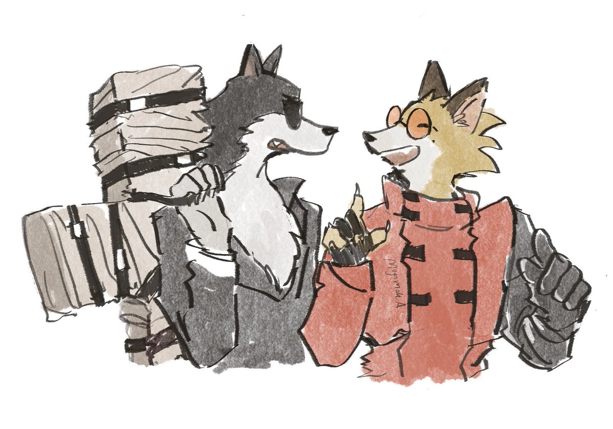 Moกัด🦝 tweet media