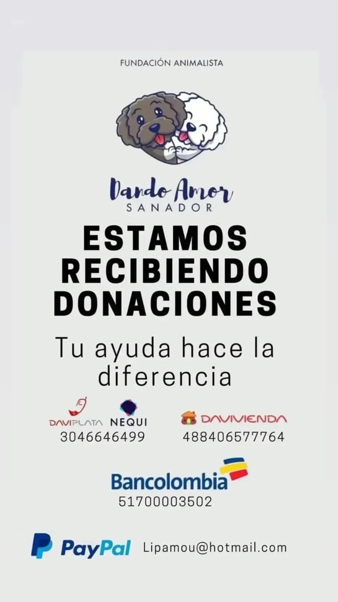 FSanador's tweet photo. Buenos días  🤗  en nuestro refugio  tenemos 240 peludos, los cuales hoy domingo  no tienen nada que comer , por favor ayúdanos 🙏  todo suma,  puedes donar arroz, menudencias, concentrado y productos médicos,  aportes a nequi daviplata  3046646499 https://t.co/K2i52wODqC