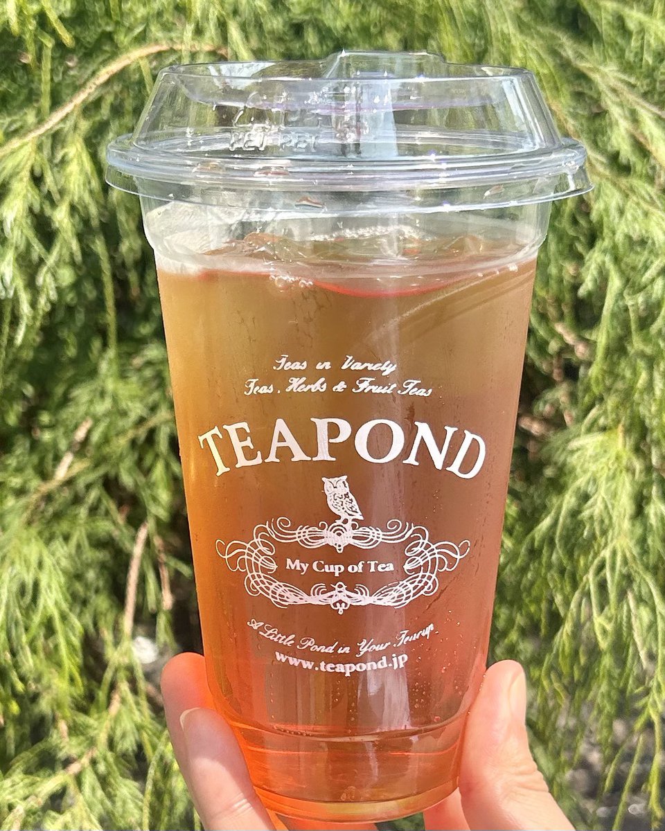 名古屋グルメ探偵 アスカイ tweet media