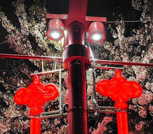 Sail(セイル) tweet media