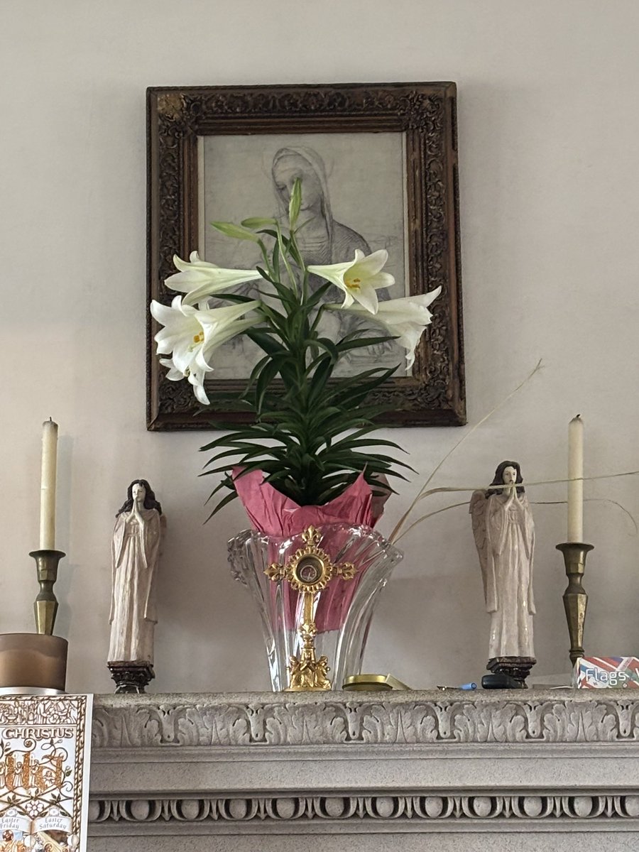 Michael Sirilla tweet media