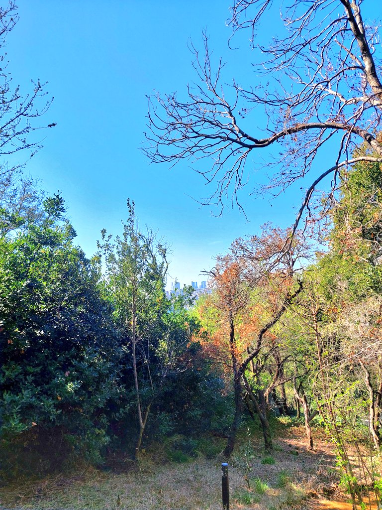 Kamil Öz tweet media