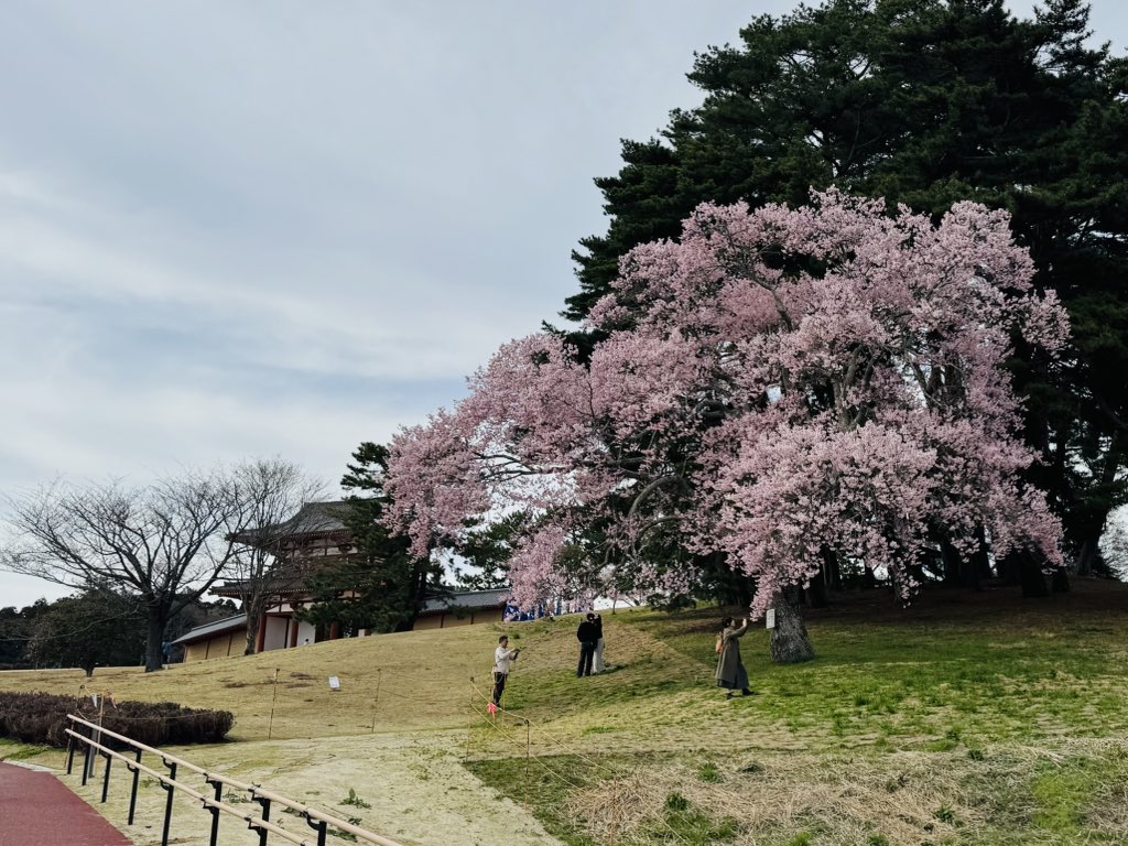 郷土ウォーカー tweet media