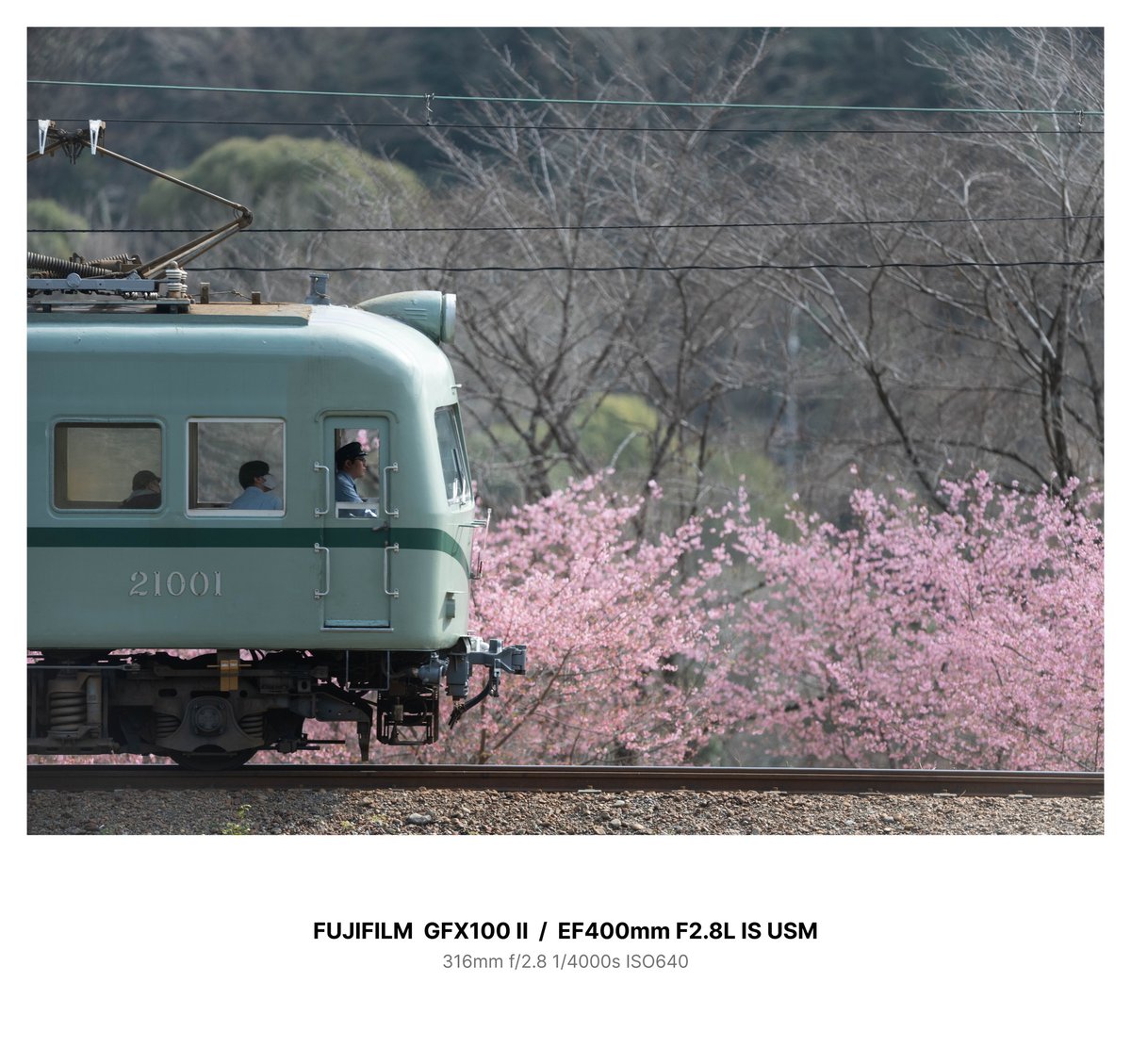 ハヤシライス tweet media