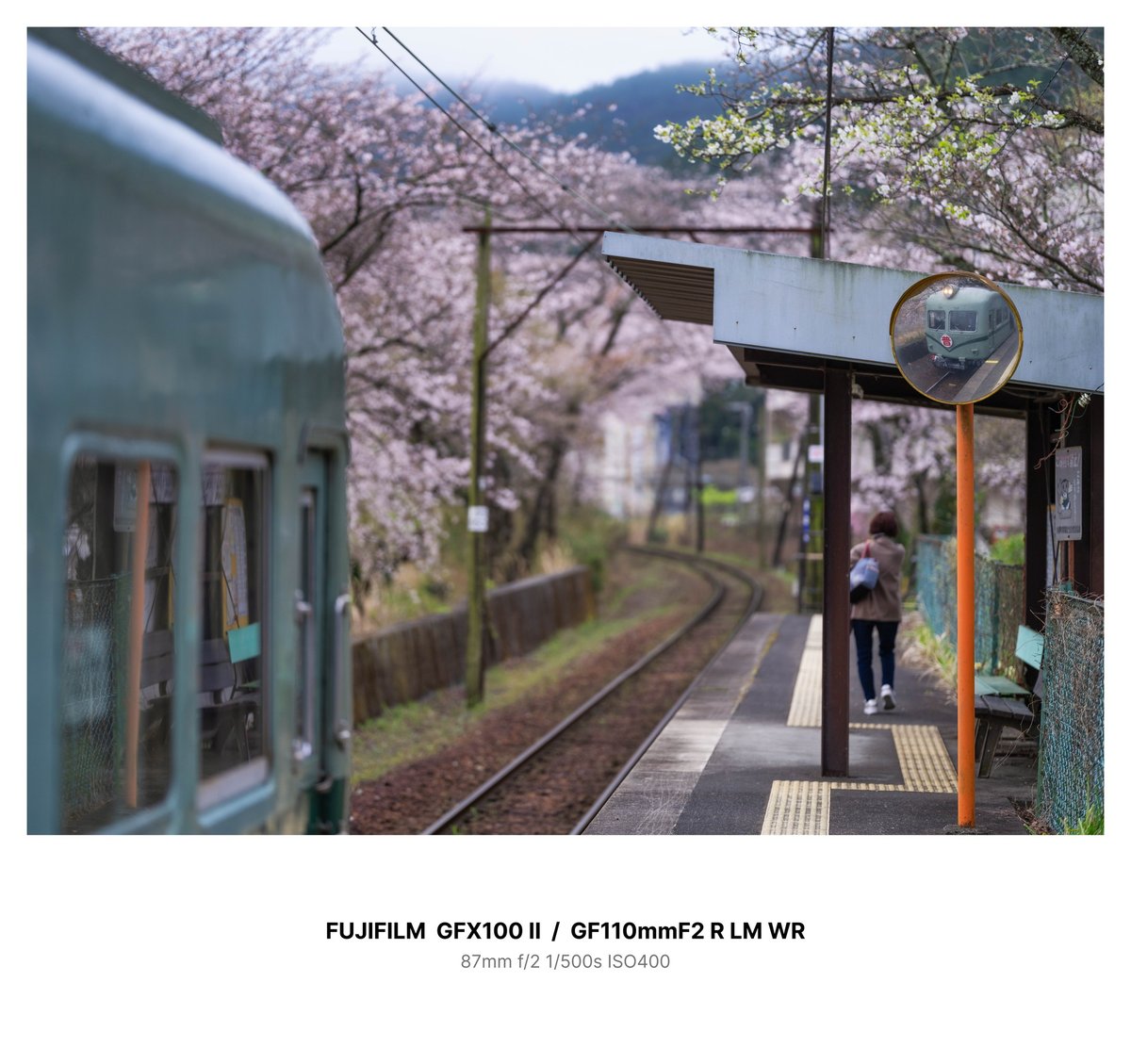 ハヤシライス tweet media