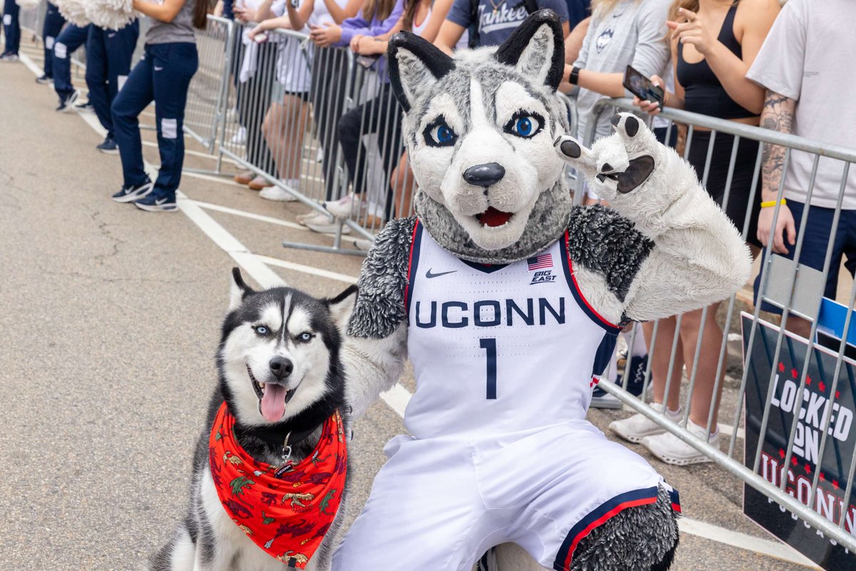 uconnlibrary's tweet photo. We plan on watching with you, so Homer Babbidge will be closed at 7:00pm on Monday, April 6. This includes no access to Bookworms and the 24-hour spaces. We will open our normal time on Tuesday. Go Huskies! 🏀 https://t.co/9iBpPUOapj