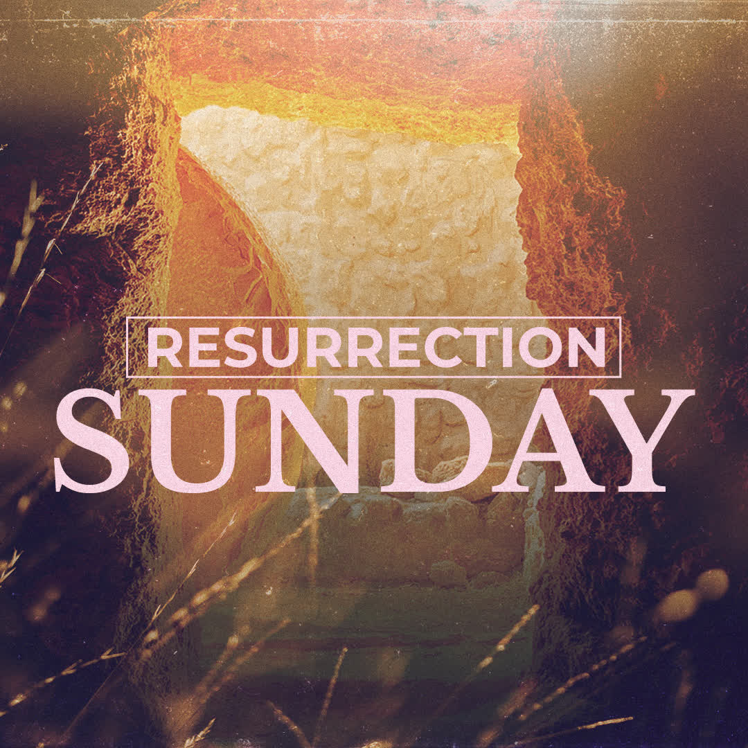 NoelRobinsonUK's tweet image. "Why do you look for the living among the dead? He is not here; He has risen!"

- Luke 24:5-6 (NIV)

#HeIsRisen #JesusIsAlive #ResurrectionSunday